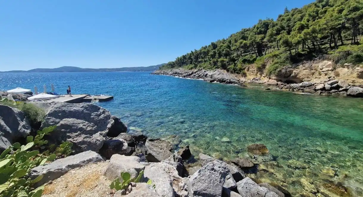 Porto valitsa Porto valitsa