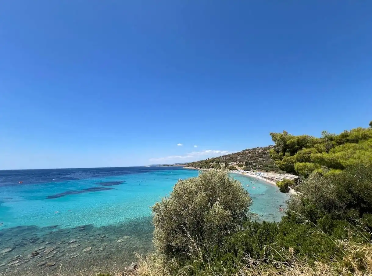 Spathies-1 Spathies-1