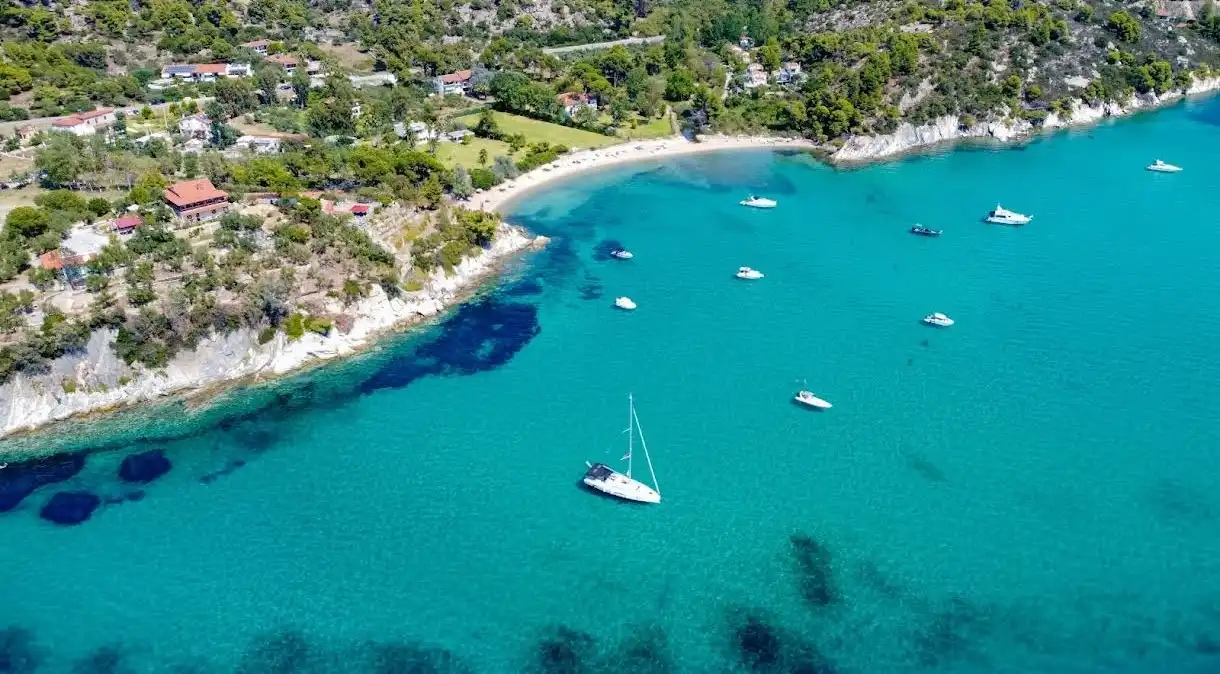 Spathies-2 Spathies-2