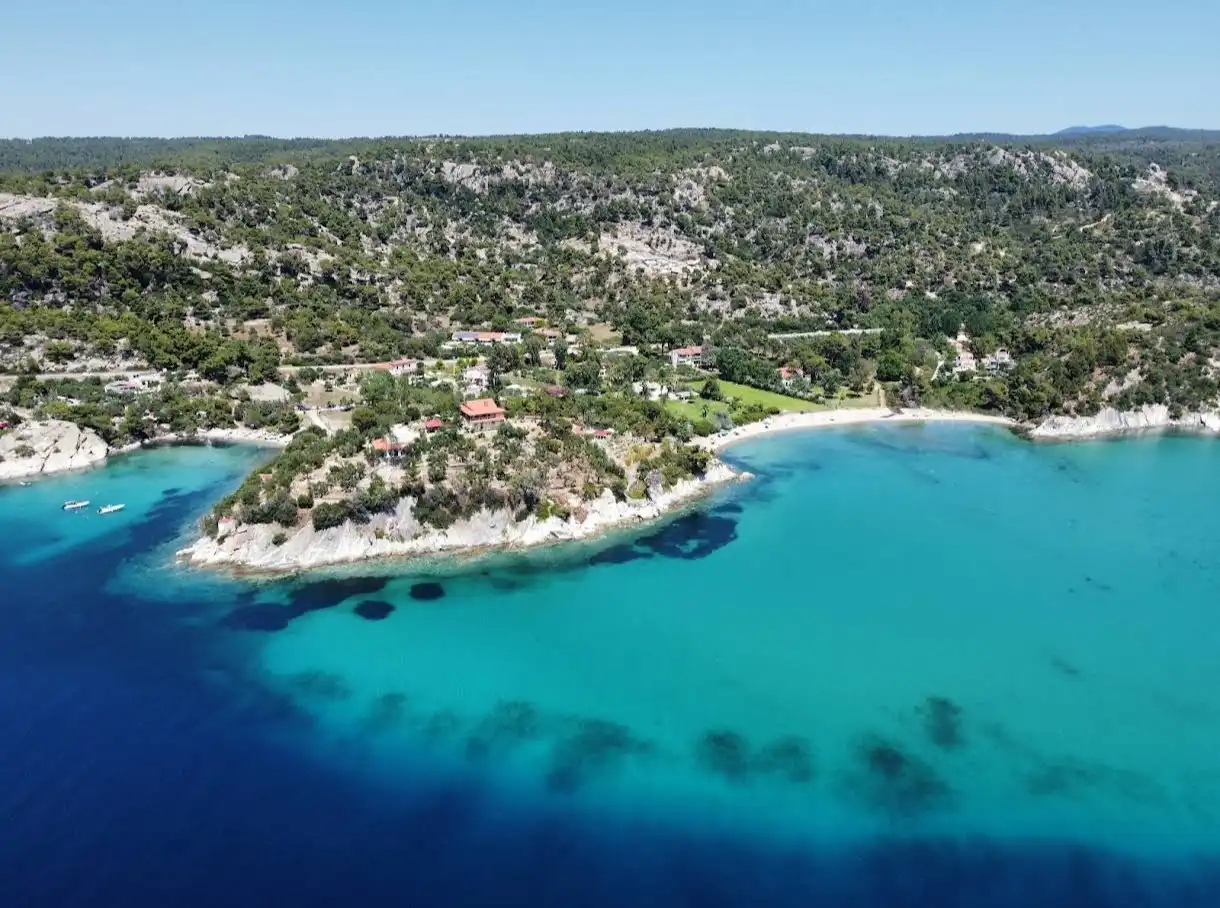 Spathies-3 Spathies-3