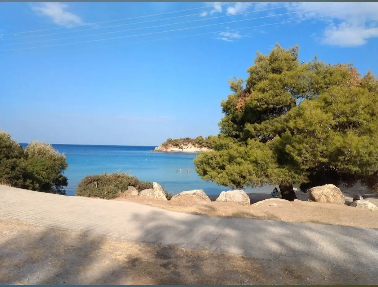 Spathies-4 Spathies-4