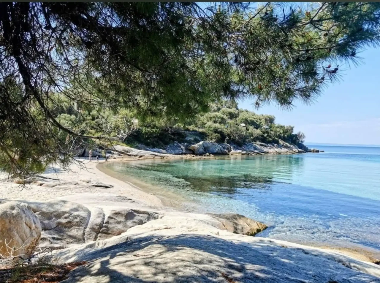 Spathies-5 Spathies-5